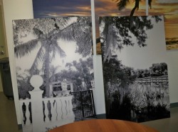 save 10 percent off of high resolution canvas prints in West Palm Beach FL