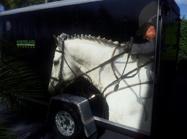 Horse Trailer Graphics West Palm Beach FL